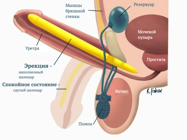image2.png