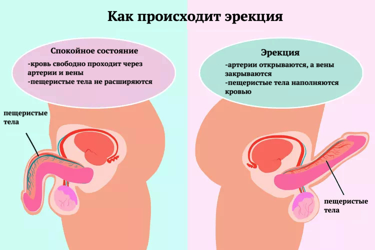 image3.png